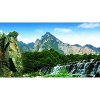 少華山森林公園4A