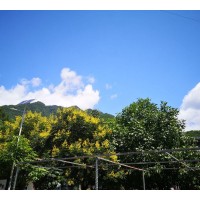 秦嶺峽谷漂流
